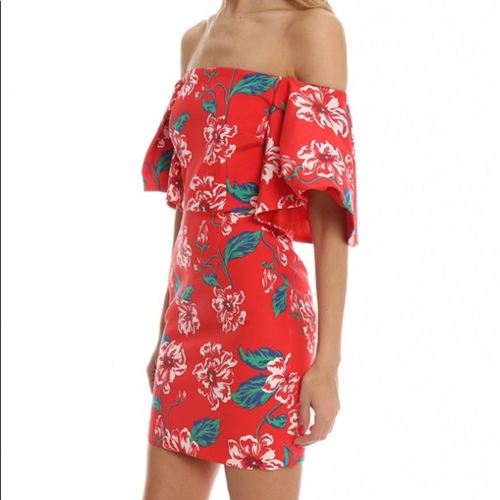 Nicholas Floral Tuck Sleeve Dress size 4